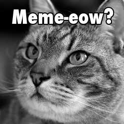 Making Meme Images for Your Blog Posts » White Hat Crew